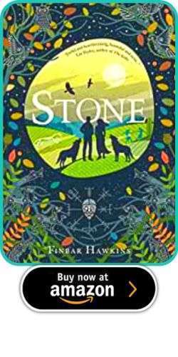 An Alternative YA Bram Stoker Award 10 An Alternative YA Bram Stoker Award Finbar Hawkins – Stone