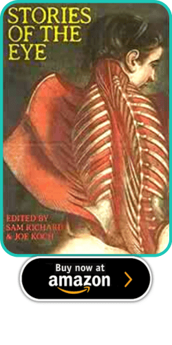 Stories of the Eye Edited by Sam Richard and Joe Koch