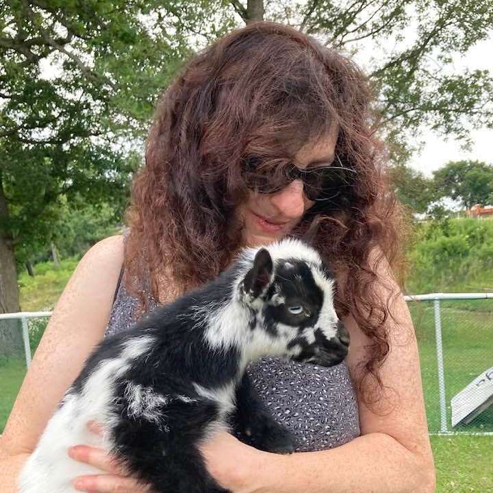 Sanctum by Sue Rovens 3 Sanctum by Sue Rovens The Heart and Soul of Horror Review Websites. Sanctum by Sue Rovens