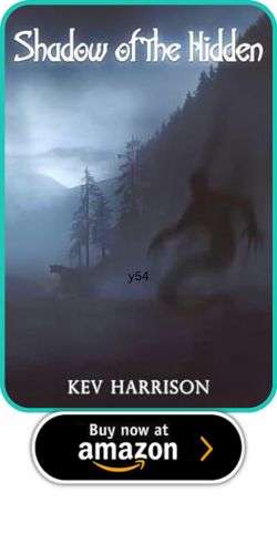 Shadow of the Hidden by Kev Harrison  HORROR BOOK REVIEW 