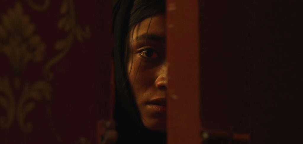 In Flames 2 In Flames In Flames (2023) Written and Directed by Zarrar Kahn