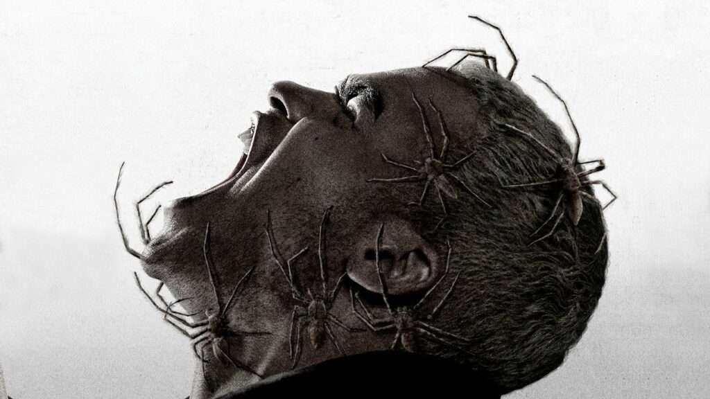 Favourite Horror Films So Far of 2024. 6 Favourite Horror Films So Far of 2024. Infested
