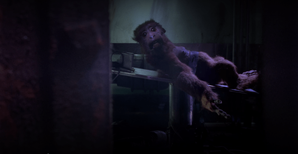 Stopmotion, Mad God and the Fearsome Power of Animation 19 Stopmotion, Mad God and the Fearsome Power of Animation Stopmotion, 2023, directed by Robert MorganMad God, 2021, directed by Phil Tippett