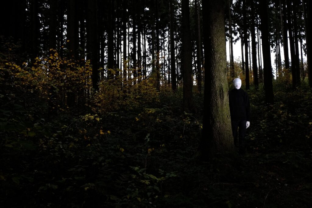 Following The Blair Witch Project (1999) 2 Following The Blair Witch Project (1999) Following The Blair Witch Project (1999): Looking to the Future of Found Footage in Horror