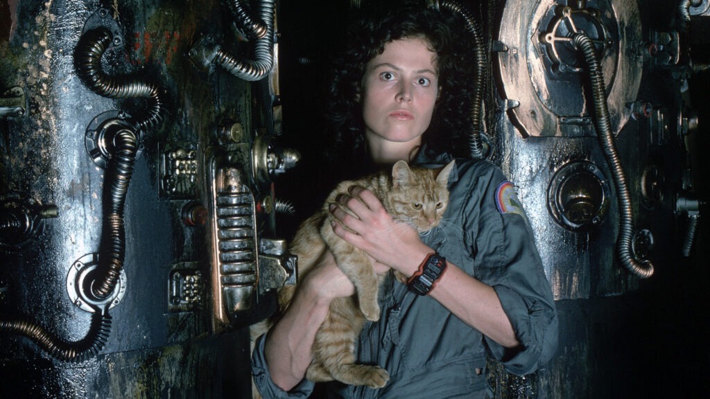 Alien - The Necessity of The Unknown, My Life in Horror 5 Alien - The Necessity of The Unknown, My Life in Horror The Heart and Soul of Horror Review Websites. Alien - The Necessity of The Unknown, My Life in Horror
