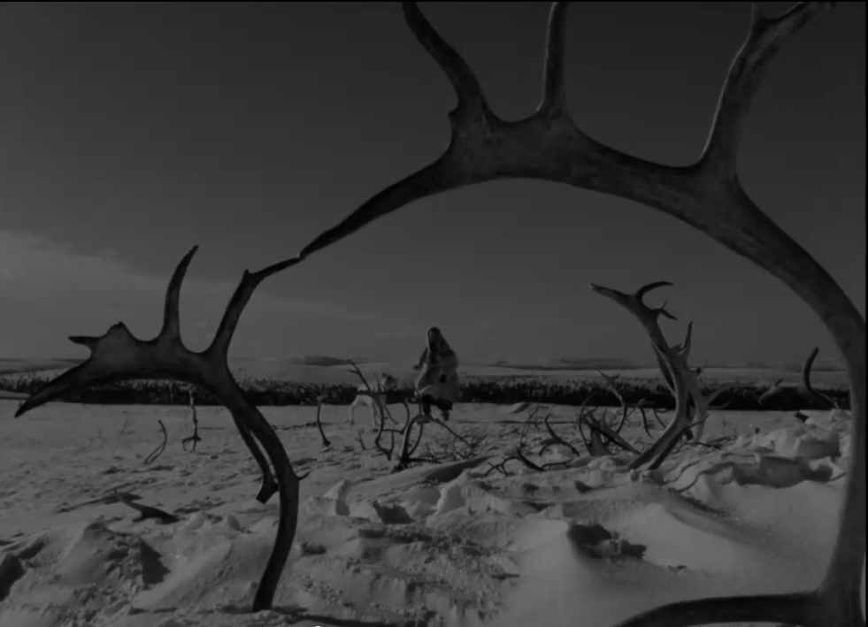 The White Reindeer: A Haunting Fairytale Experience 2 The White Reindeer: A Haunting Fairytale Experience A tale whispered only to you The White Reindeer: A Haunting Fairytale Experience