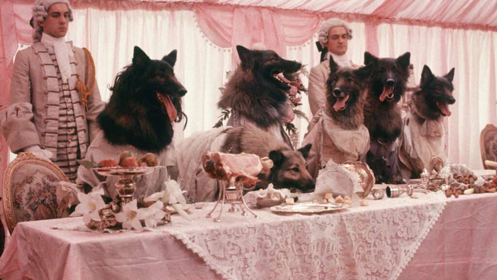In the Year of the Werewolf, We Look at Some of the More Novel Deployments of the Beast 3 In the Year of the Werewolf, We Look at Some of the More Novel Deployments of the Beast In the Year of the Werewolf, We Look at Some of the More Novel Deployments of the Beast