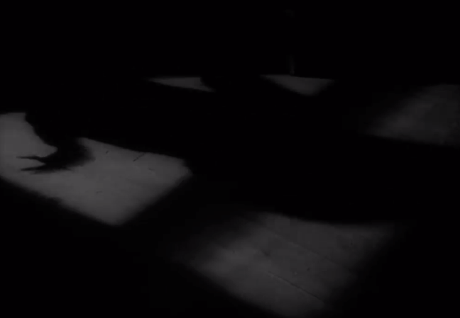 The White Reindeer: A Haunting Fairytale Experience 17 The White Reindeer: A Haunting Fairytale Experience A black and white photo of a person's shadow