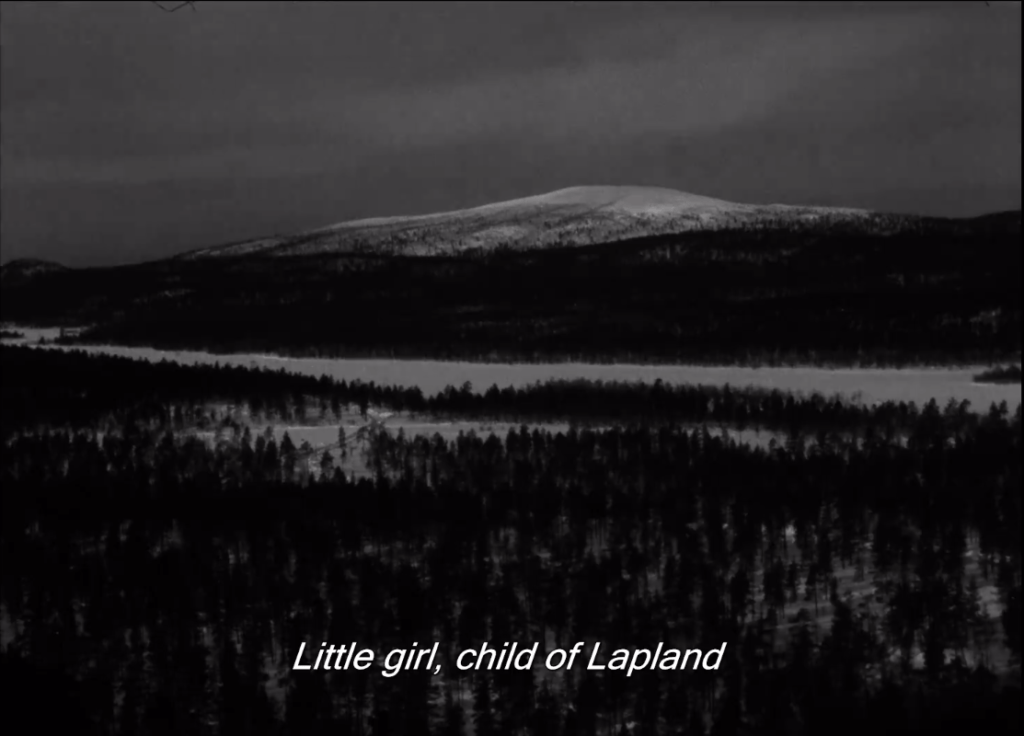 The White Reindeer: A Haunting Fairytale Experience 5 The White Reindeer: A Haunting Fairytale Experience The Heart and Soul of Horror Review Websites. The White Reindeer: A Haunting Fairytale Experience