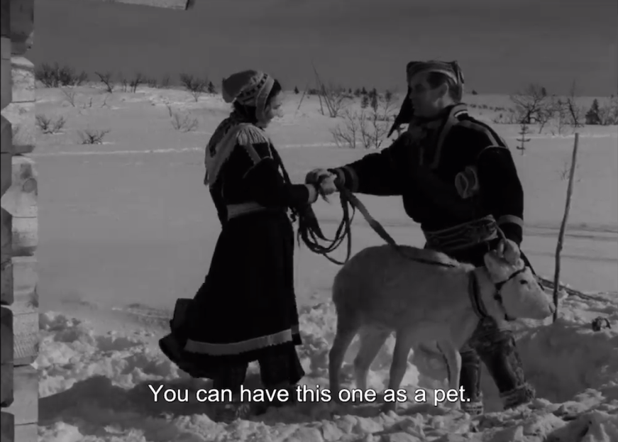 The White Reindeer: A Haunting Fairytale Experience 9 The White Reindeer: A Haunting Fairytale Experience A person and person in traditional clothing holding a reindeer