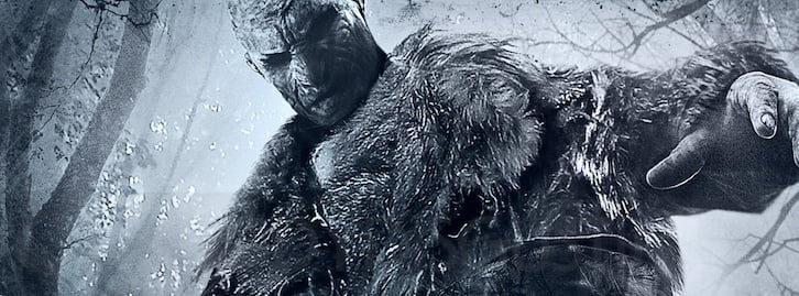 Found Footage Fear: A Cinephile's Defense of the Genre's Best Scares 5 Found Footage Fear: A Cinephile's Defense of the Genre's Best Scares The Heart and Soul of Horror Review Websites. Found Footage Fear: A Cinephile's Defense of the Genre's Best Scares