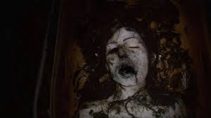 Found Footage Fear: A Cinephile's Defense of the Genre's Best Scares 3 Found Footage Fear: A Cinephile's Defense of the Genre's Best Scares The Heart and Soul of Horror Review Websites. Found Footage Fear: A Cinephile's Defense of the Genre's Best Scares