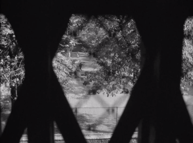 The Trans Killer Trope: A Harmful Legacy in Horror and the Films Fighting Back 2 The Trans Killer Trope: A Harmful Legacy in Horror and the Films Fighting Back The Heart and Soul of Horror Review Websites. The Trans Killer Trope: A Harmful Legacy in Horror and the Films Fighting Back