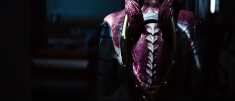 The Heart and Soul of Horror Review Websites. How do you make a Hellraiser? The secret ingredient is love. No, really.