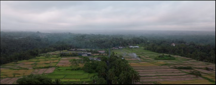 The Heart and Soul of Horror Review Websites. Influencers Movie Review: A Bad Horror Sequel That Forgets What Made the First Film Interesting Because you bastards made me watch it!