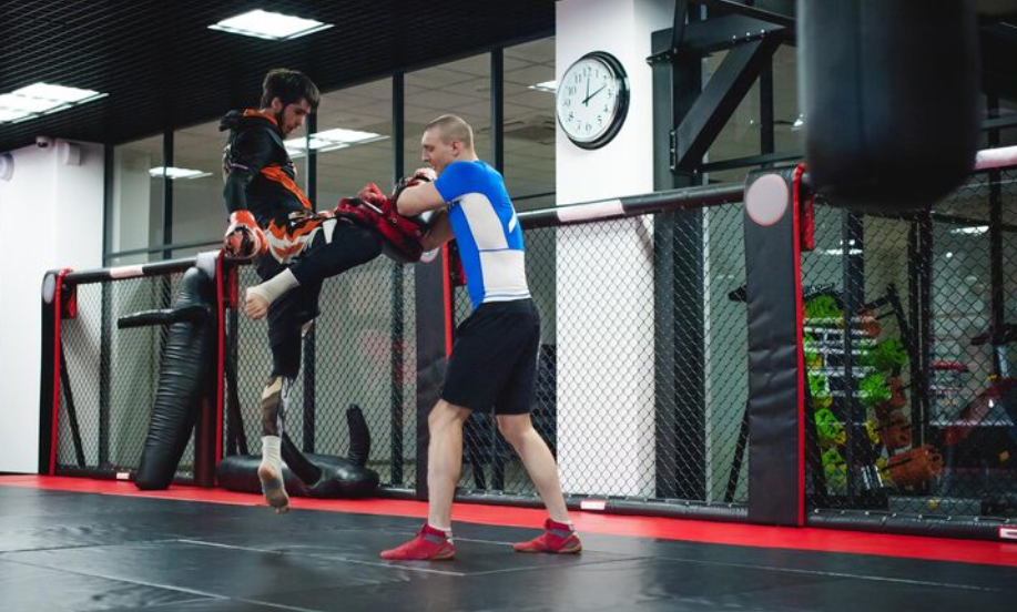 The Heart and Soul of Horror Review Websites. Trends in MMA Fighter Training in Canada: Technology and Science