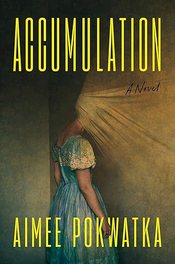 Accumulation by Aimee Pokwatka review 
