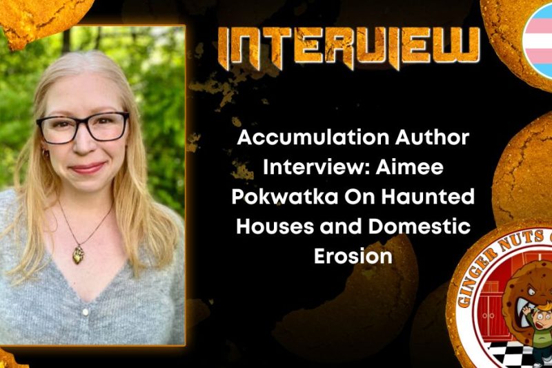 Author Interview Accumulation Author Interview- Aimee Pokwatka On Haunted Houses and Domestic Erosion
