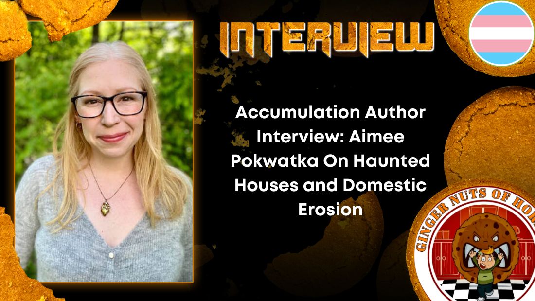 Author Interview Accumulation Author Interview- Aimee Pokwatka On Haunted Houses and Domestic Erosion