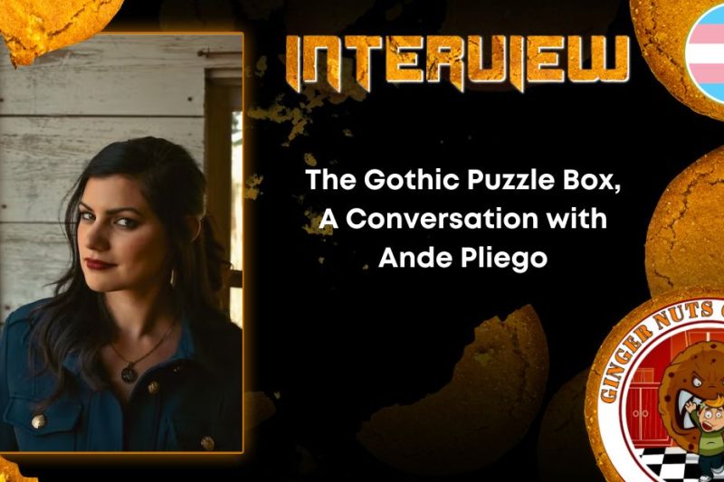 Author Interview The Gothic Puzzle Box, A Conversation with Ande Pliego