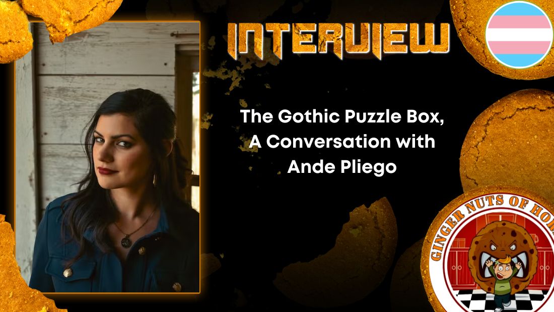 Author Interview The Gothic Puzzle Box, A Conversation with Ande Pliego