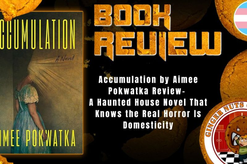 HORROR BOOK REVIEW Accumulation by Aimee Pokwatka Review- A Haunted House Novel That Knows the Real Horror Is Domesticity