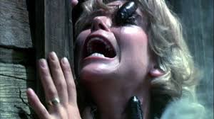 The Heart and Soul of Horror Review Websites. When Hollywood Gave Cockroaches Superpowers: A Loving Look at Bug (1975) and Damnation Alley