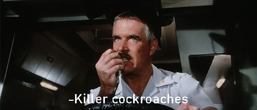 The Heart and Soul of Horror Review Websites. When Hollywood Gave Cockroaches Superpowers: A Loving Look at Bug (1975) and Damnation Alley