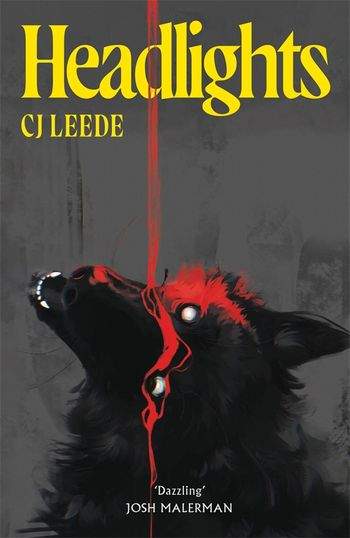 Headlights by Cj Leede