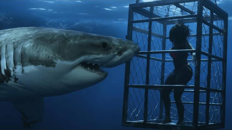Chum Review: When Sharks Jump the Shark 2 Chum Review: When Sharks Jump the Shark Chum Review: When Sharks Jump the Shark