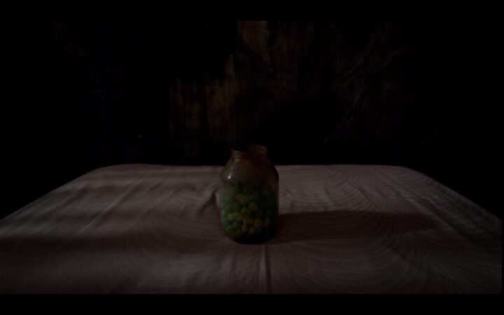 The Heart and Soul of Horror Book & Movie Reviews Possum (2018) Review: Trauma as Unheimliche Horror