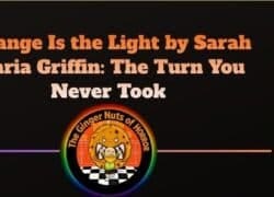 Book Review Strange Is the Light by Sarah Maria Griffin- The Turn You Never Took