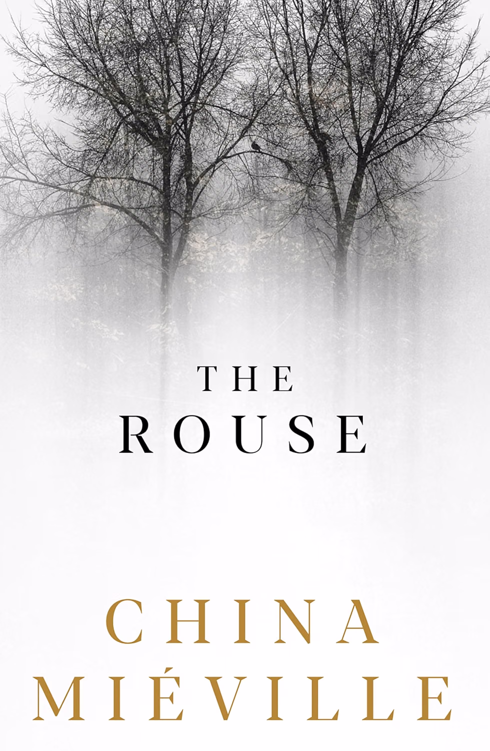 The Rouse by China Miéville review

