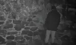 The Heart and Soul of Horror The Blair Witch Project Is Found Footage's Jaws