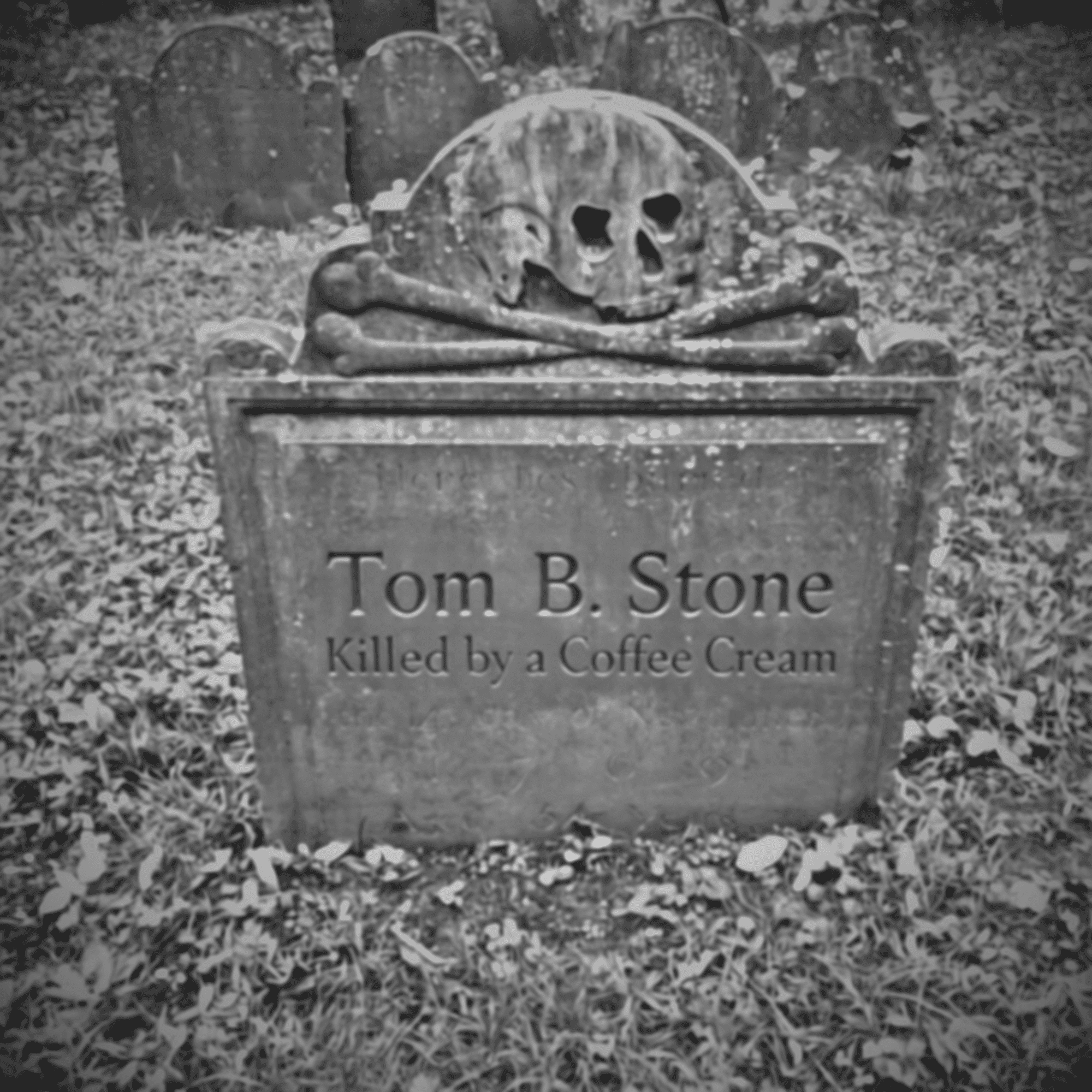 Tom B Stone
