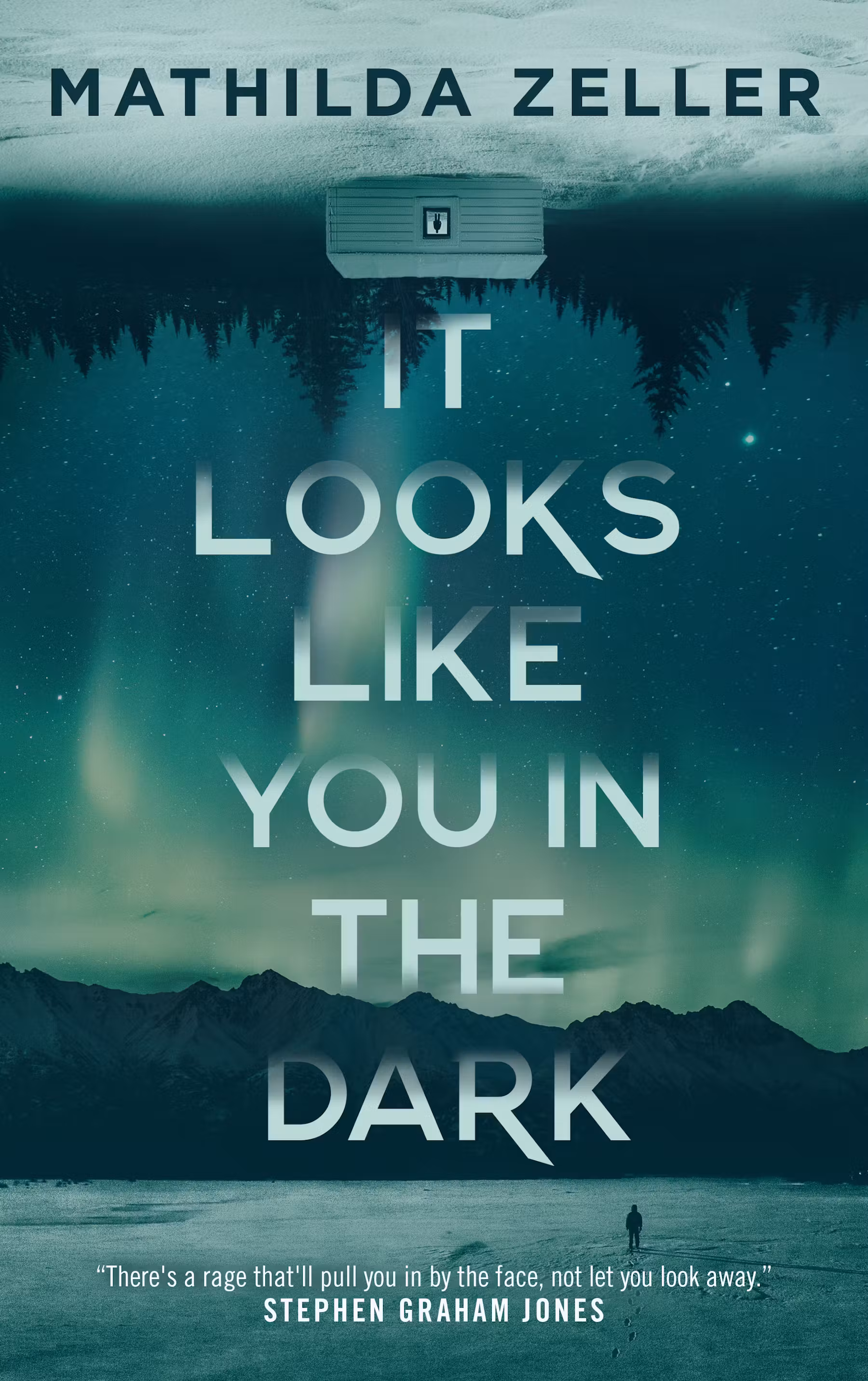 Cover of It Looks Like You in the Dark by Mathilda Zeller