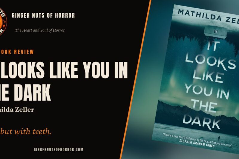 It Looks Like You in the Dark by Mathilda Zeller Review: A Debut With Teeth
