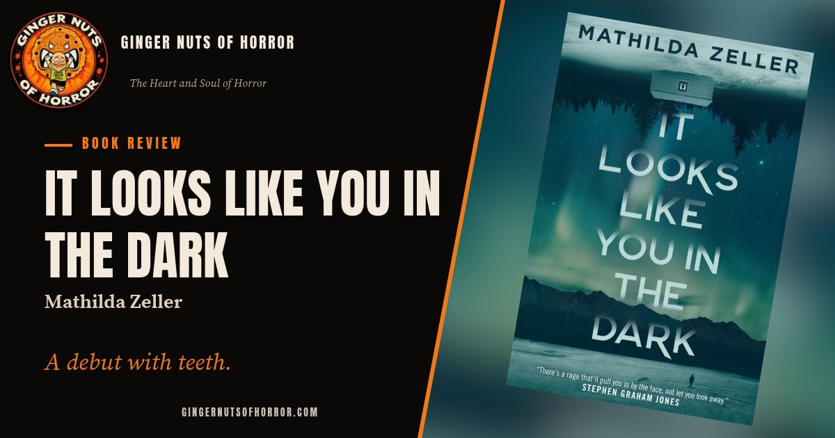 it looks like you in the dark book cover