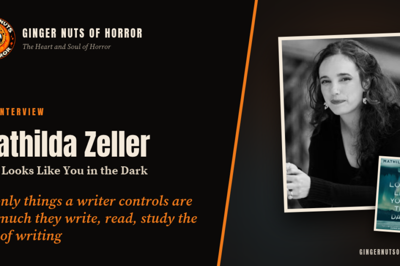 Mathilda Zeller on It Looks Like You in the Dark: Borrowed Faces