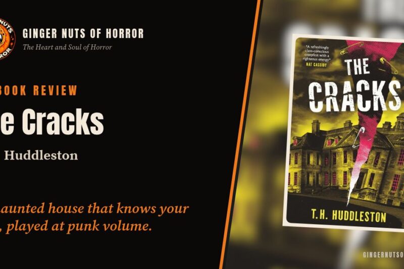 The Cracks by T.H. Huddleston Review: Punk Rock Versus the Stately Home